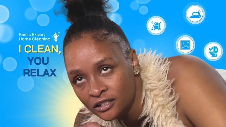 The Cleaning Ladys Secret