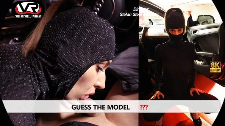 Guess The Model VR Adult Videos